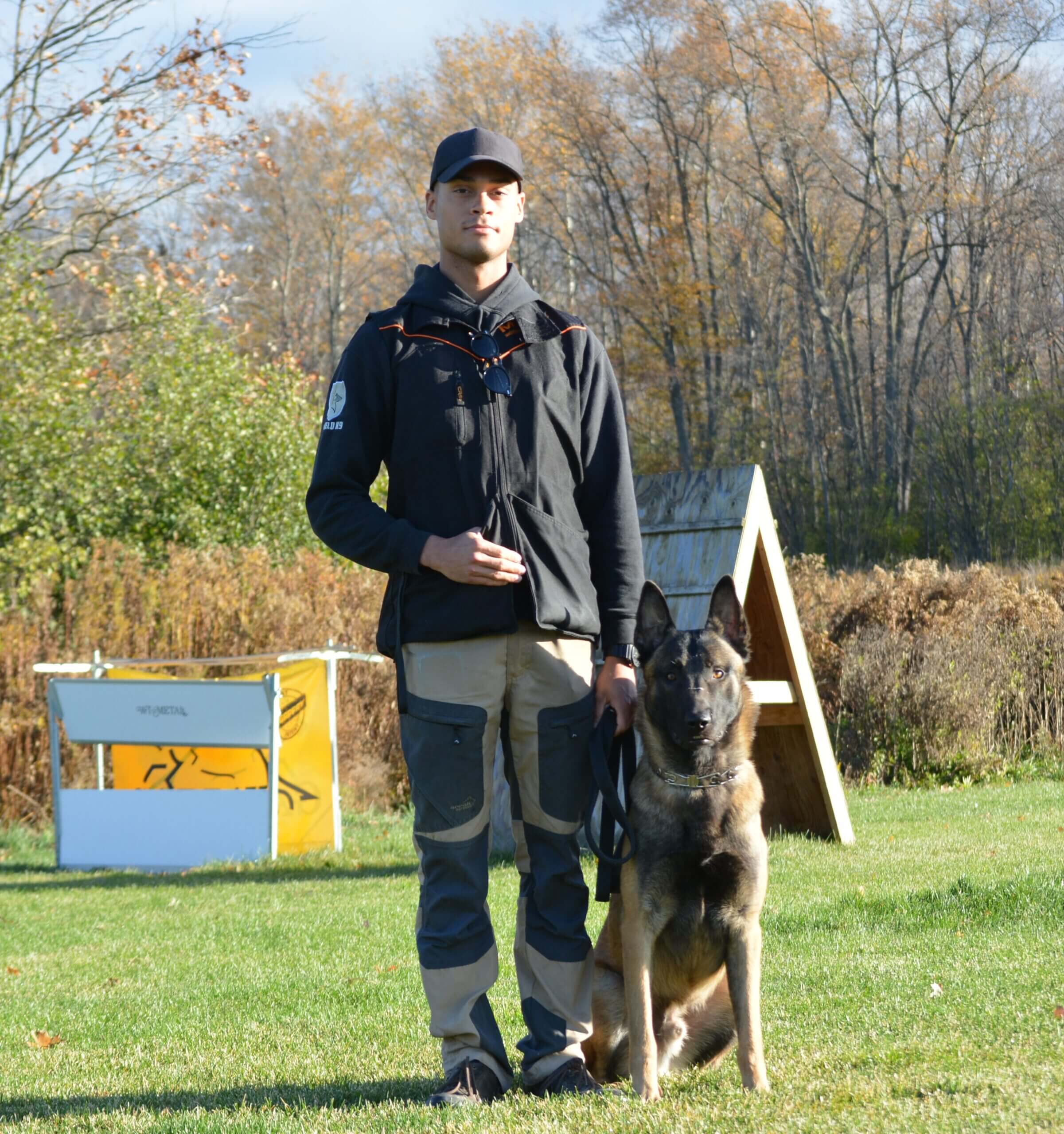 Board & Train Cheat Sheet SHIELD K9 DOG TRAINING