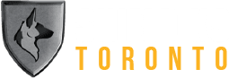 Dog Training Toronto